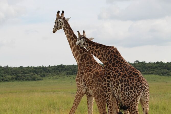 1 Day Akagera Game Drive Safari - The 5:00 am departure from Kigali