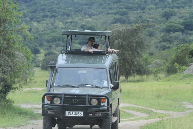 1 Day Akagera Wildlife Safaris Rwanda (2 Pax Min) - Why the private format helps