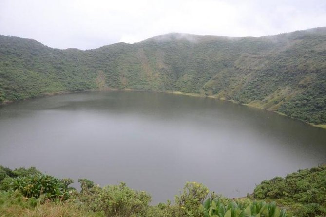 1-Day Bisoke Volcano Hiking Experience - What makes this Bisoke day special