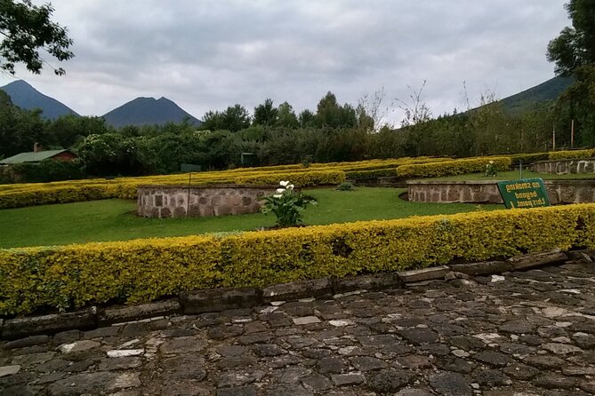 1-Day Bisoke Volcano Hiking Experience - The descent and the long ride home