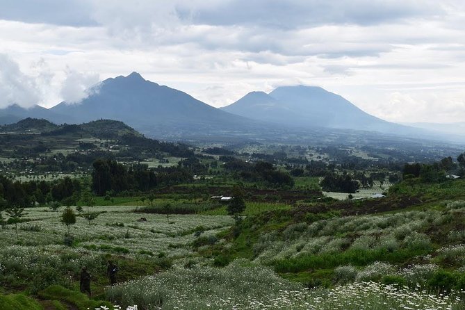 1-Day Bisoke Volcano Hiking Experience - Practical strengths and weak spots