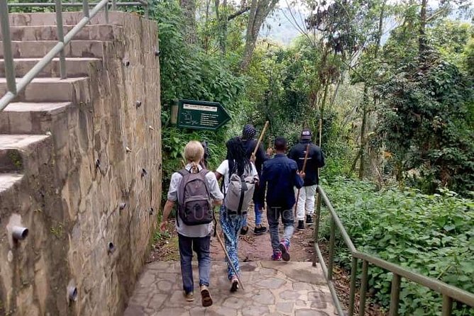 1 Day Canopy Walk Adventure in Nyungwe Forest National Park - Is $440 a fair price?