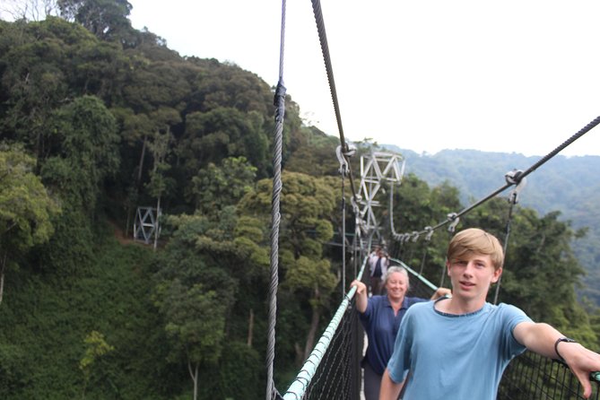 1 Day Canopy walk way in Nyungwe Natioinal park - Key points to know before booking