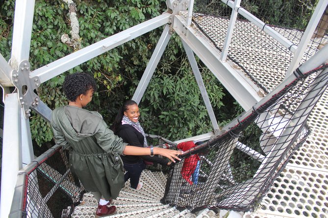1 Day Canopy walk way in Nyungwe Natioinal park - The Nyungwe Canopy Walkway at 70 metres