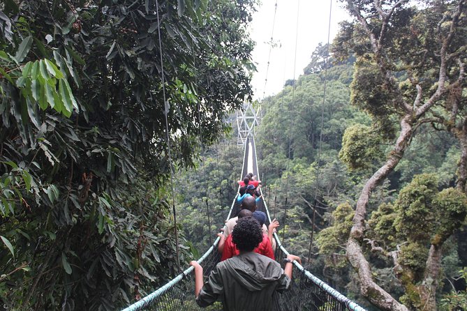 1 Day Canopy walk way in Nyungwe Natioinal park - Is $522.50 per person a fair price?