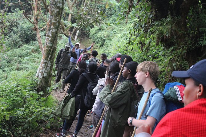 1 Day Canopy walk way in Nyungwe Natioinal park - Who will enjoy this most