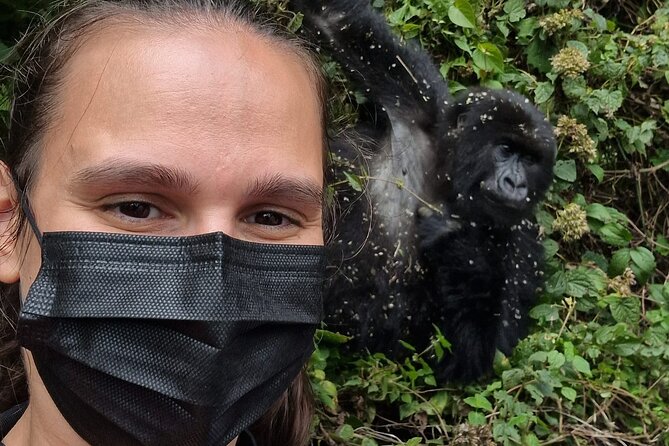 1 Day Gorilla Trekking Safari in Rwanda Volcanoes National Park - Why this Rwanda gorilla day trip matters