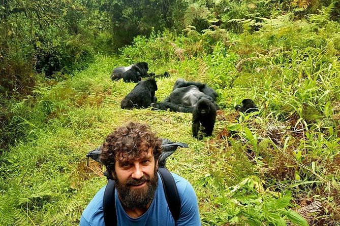 1 Day Gorilla Trekking Uganda - Why this Kigali to Uganda trip is unusual