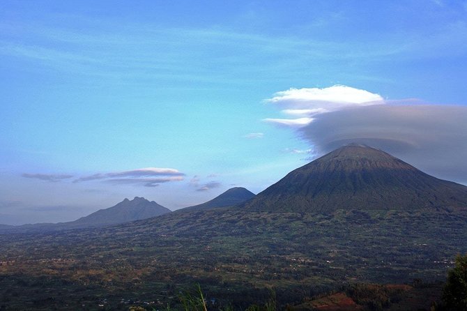 1 Day Gorilla trekking volcanoes national park - Is $2,699 a Fair Price?