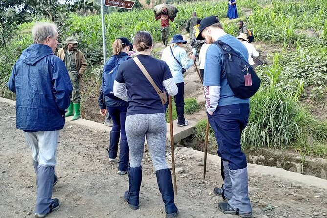 1 Day Rwanda Gorilla Trekking Tour - Key points to know before booking