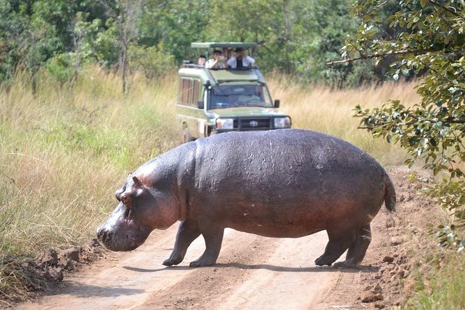 1 Day Safari to Akagera national park-Big5 Safari - Registering at the park around 7:30 am