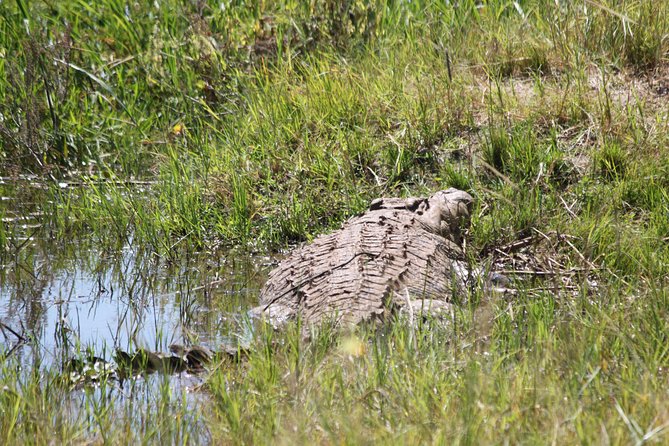 1 Day Safari to Akagera national park-Big5 Safari - Leaving Kigali at 5:00 am