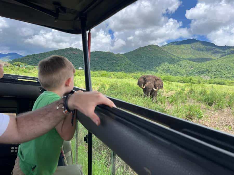 2-Day Akagera Game Drive, Boatride & Safari resort overnight - Key points before you book