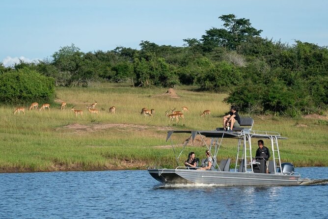 2 Days Akagera National Park Wildlife Safari - What the $956 price really covers