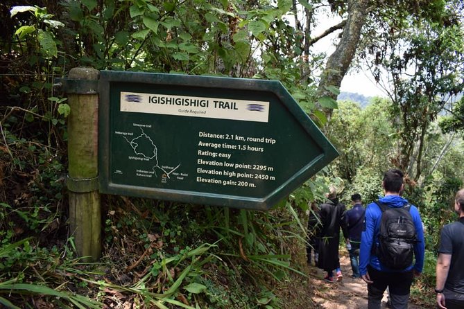 2 Days Chimpanzees trekking Tour and Canopy walk Adventure - Day 1: Nyanza, Butare, and the 3 p.m. canopy walk