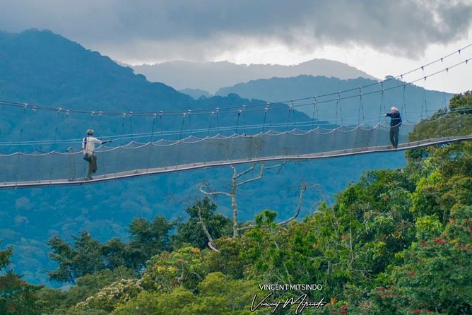 2 Days Chimpanzees trekking Tour and Canopy walk Adventure - Should you book the chimpanzee and canopy adventure?