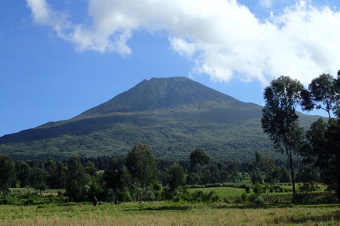 2 Days Gorilla & Golden Monkey Trekking Safaris - The night at Isange Paradise Resort