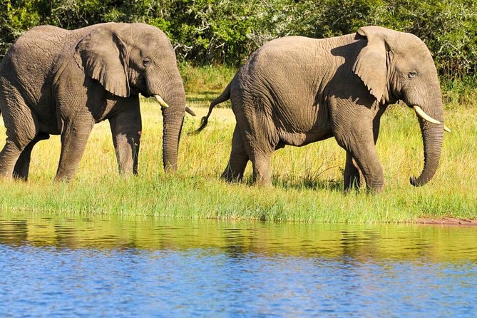 2 Days in Akagera National Park - Key things to know before booking