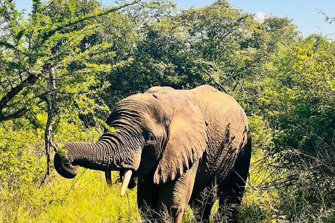 2 Days in Akagera National Park - What the $981.15 price really includes