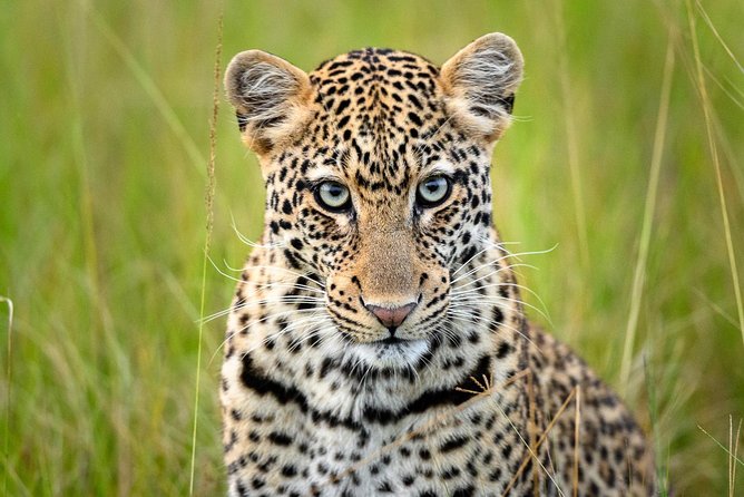 2 Days in Akagera National Park - What to pack for Akagera