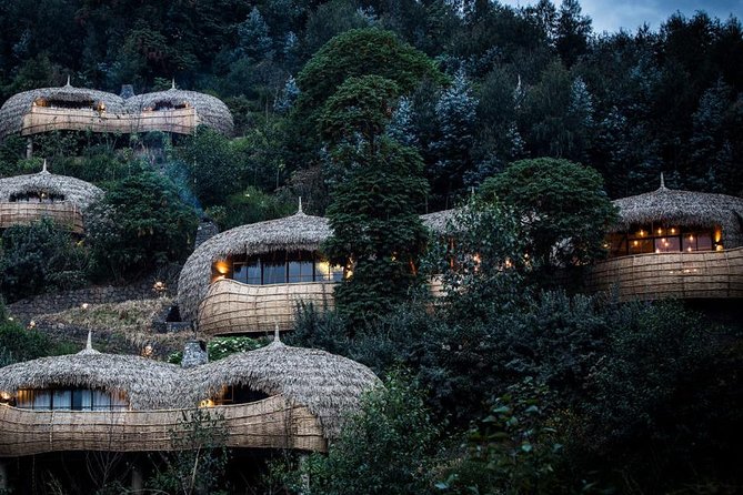 2 Days Mountain Gorilla Safari Rwanda - Rules that protect you and the gorillas