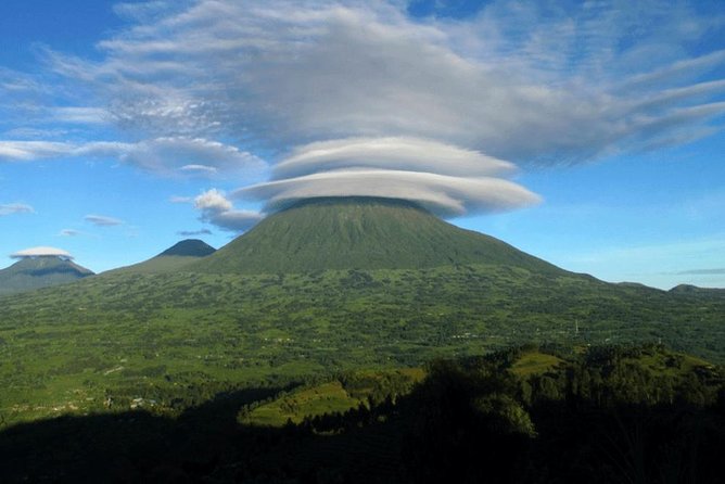 2 Days Mountain Gorilla Safari Rwanda - Is $650 a fair price?