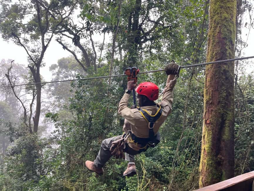 2 Days Nyungwe National Park Tours -Chimp-Canopy-Waterfall - The real value of the $450 price