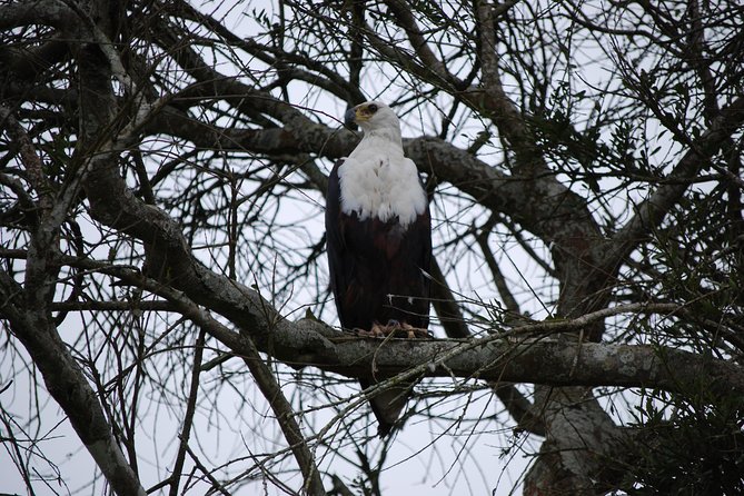 2 days trip_Akagera National Park (Wildlife Safari) - The return through Rwanda’s Eastern Province