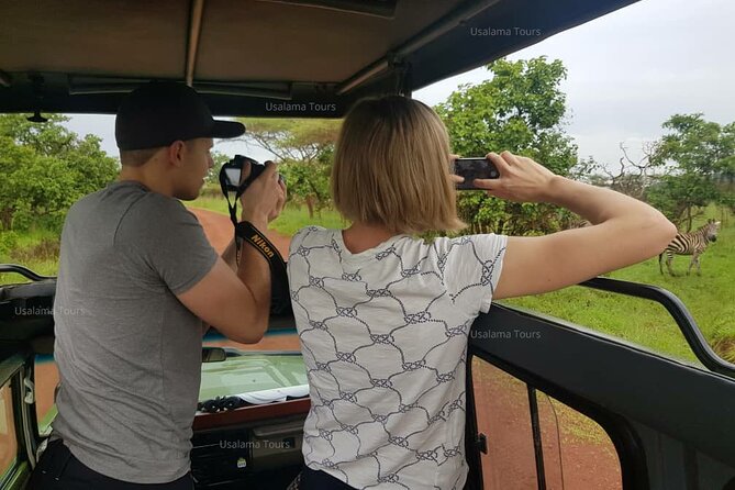 2 days trip_Akagera National Park (Wildlife Safari) - What the $1,315.80 price really buys