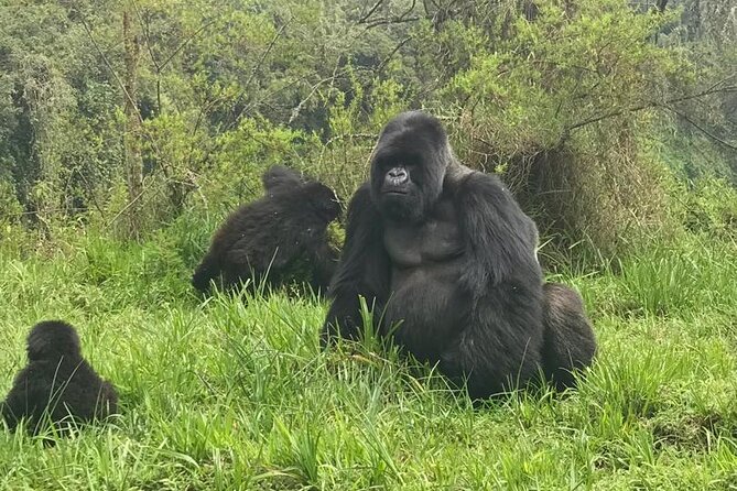 2 days Uganda Gorilla trekking - Entering Bwindi for the mountain gorilla trek