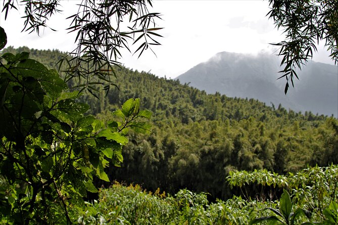 2 days Uganda Gorilla trekking - A thoughtful hour and a half at Kigali Genocide Memorial
