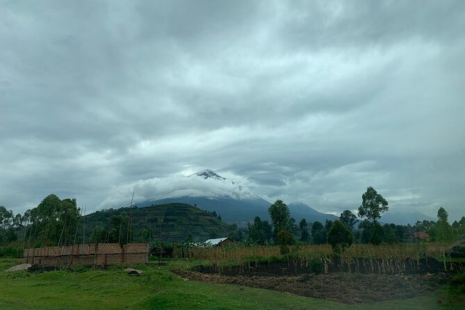 3 Day Gorilla Trek at Bwindi National Park via Kigali - Day 3: Return to Kigali, with an optional extra