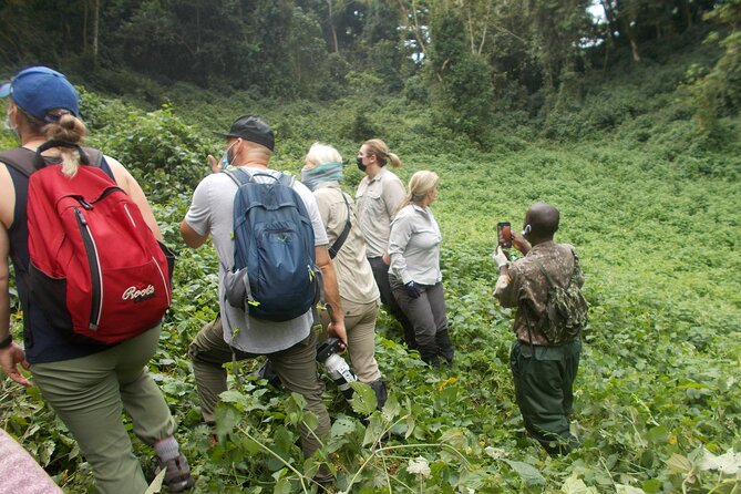 3 Day Rwanda to Uganda gorilla trekking Safari - From Kigali to Bwindi by the Cyanika or Katuna border