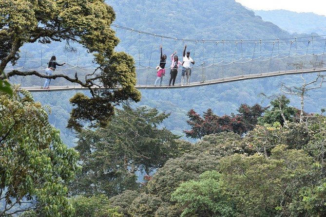 3 Days Nyungwe Natural forest tour in Rwanda - Chimpanzee Tracking Before Sunrise