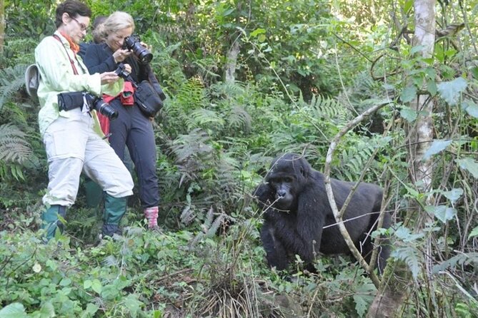 3 Days Uganda Gorilla Trekking Safari - Lake Bunyonyi after the forest