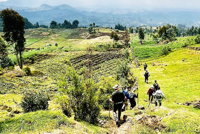 5 Days Akagera and Volcanoes National Park - Day one in Kigali: memory, markets, and a difficult history