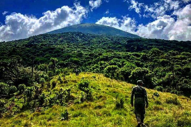 6 days Private Rwanda Primates and Wildlife Experience Tour - Lake Ihema and an Akagera night drive