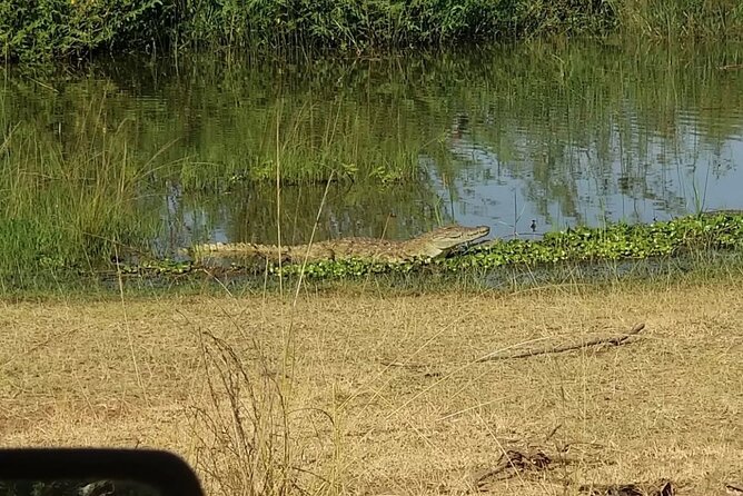 Akagera National Park 1 day Safari Experience - Why Akagera makes a strong one-day safari