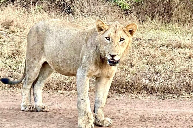 Akagera National Park 1 day Safari Experience - The road east from Kigali