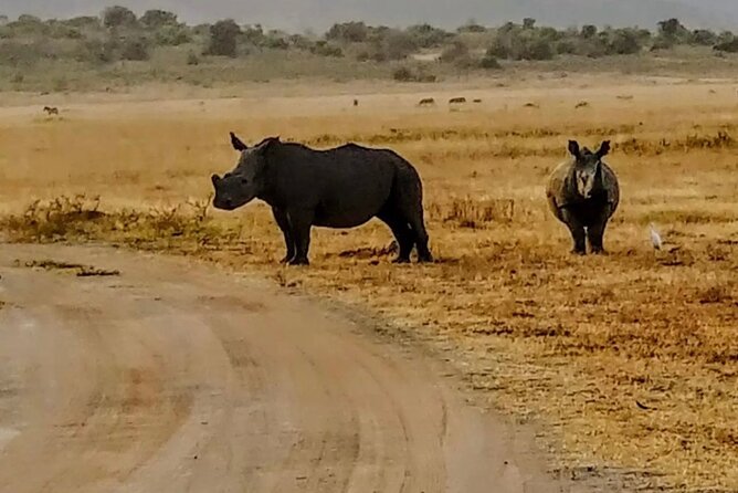 Akagera National Park 1 day Safari Experience - Lunch and the mid-day pause