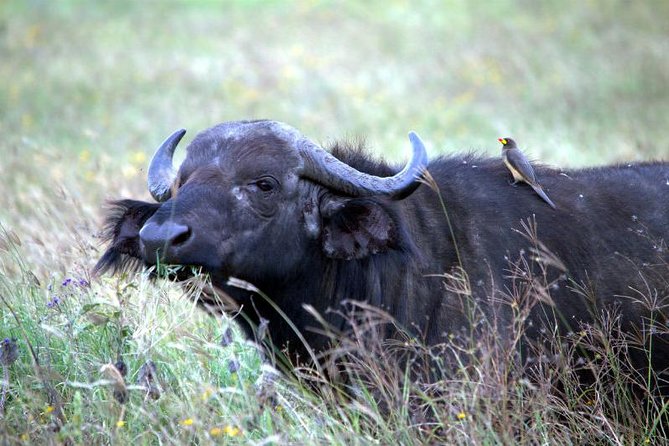 Akagera National Park Day Trip - Entering Akagera’s Great Rift Valley country