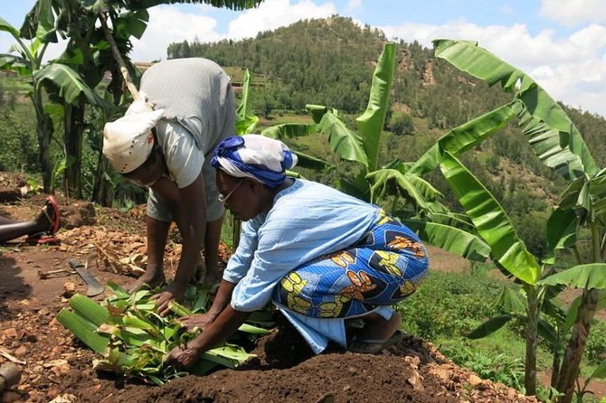 Banana Juice Making at a Local Community - Lunch, conversation, and the pace of village life