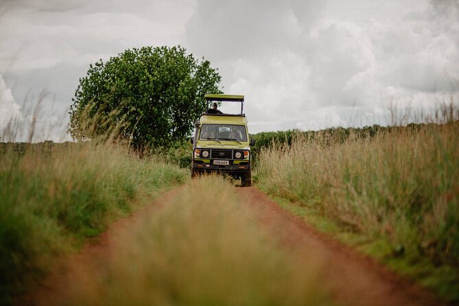 Big 5 Safari Day Trip - Game viewing: what you may see in the park
