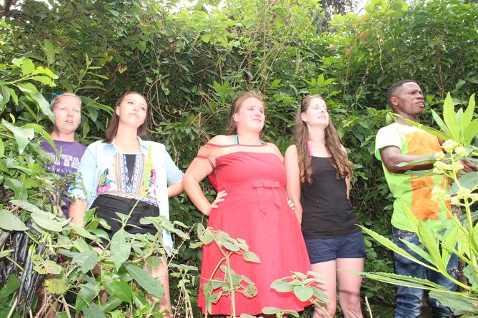 Boat cruise and adventures -Karongi - Key points to know before boarding