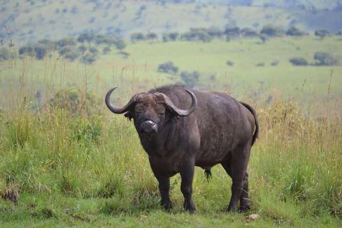 Discover the Beauty of Rwanda in 12Days - Akagera National Park for Open Plains and Bird Watching