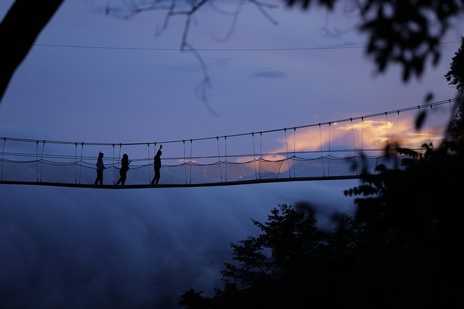 Discover the Beauty of Rwanda in 12Days - Canopy Walking and the Forest Experience