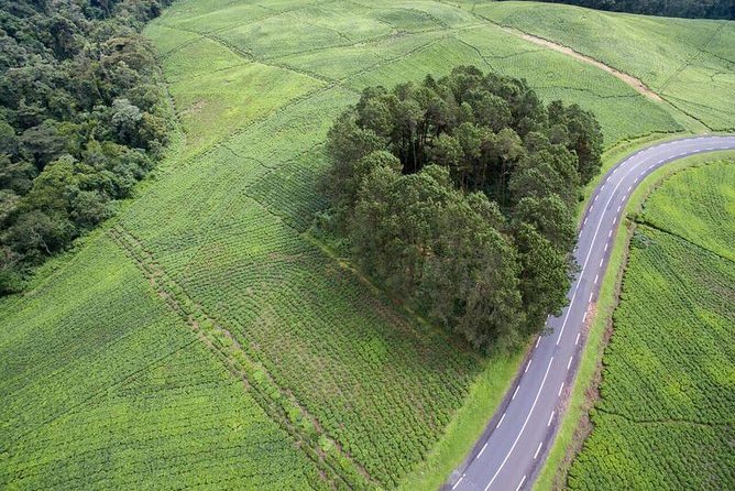 Discover the Beauty of Rwanda in 12Days - What the $3,453.34 Price Means