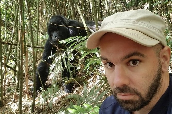 From Kigali: 10 Hour Day-trip Rwanda Gorilla Trekking with Lunch - The 4:00 am drive to Musanze