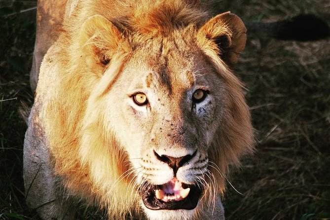 From Kigali: 12 Hour Custom Day trip for game Drive in Akagera NP - Key points to know before booking