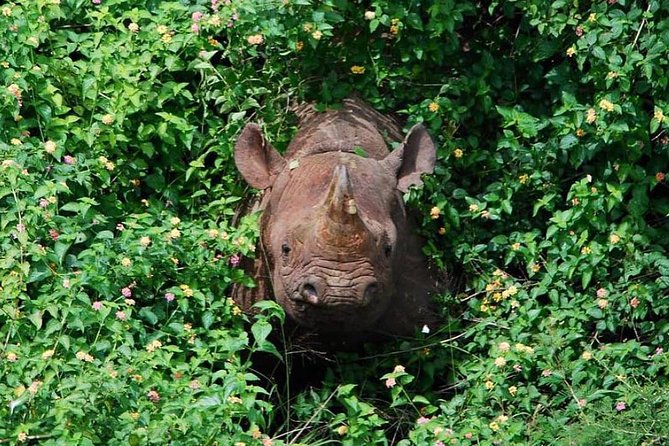 From Kigali: 12 Hour Custom Day trip for game Drive in Akagera NP - Choosing the seven-hour game drive